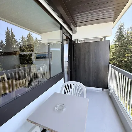 Appartement Stud 4 Pers Roche Beranger Piscine Chamrousse